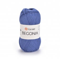 Begonia (Бегония) Begonia (Бегония)